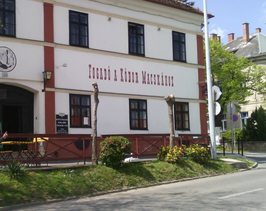 Kóbor Macska Fogadó