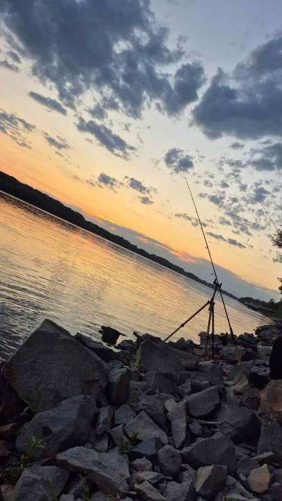 Relax Vendégház Meszes - Foktő